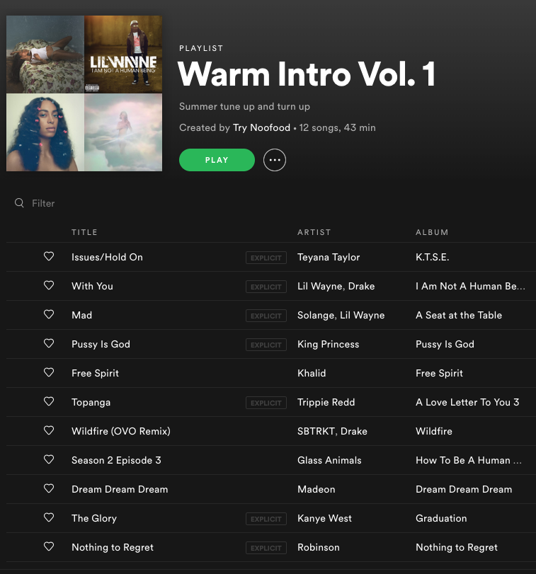 WARM INTRO, VOL. 1: DROPPED A MIXTAPE, SOUNDED LIKE AN ALBUM