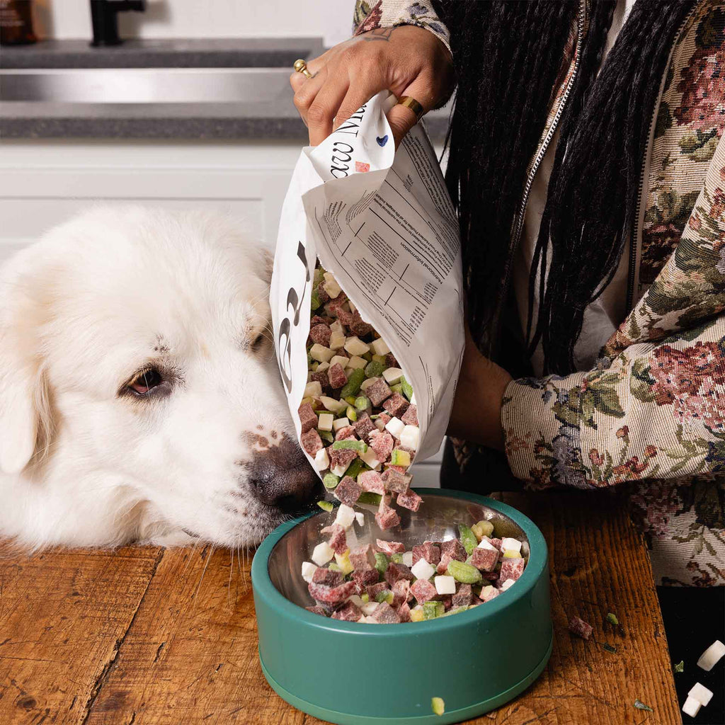 Raw Food, Variety Pack