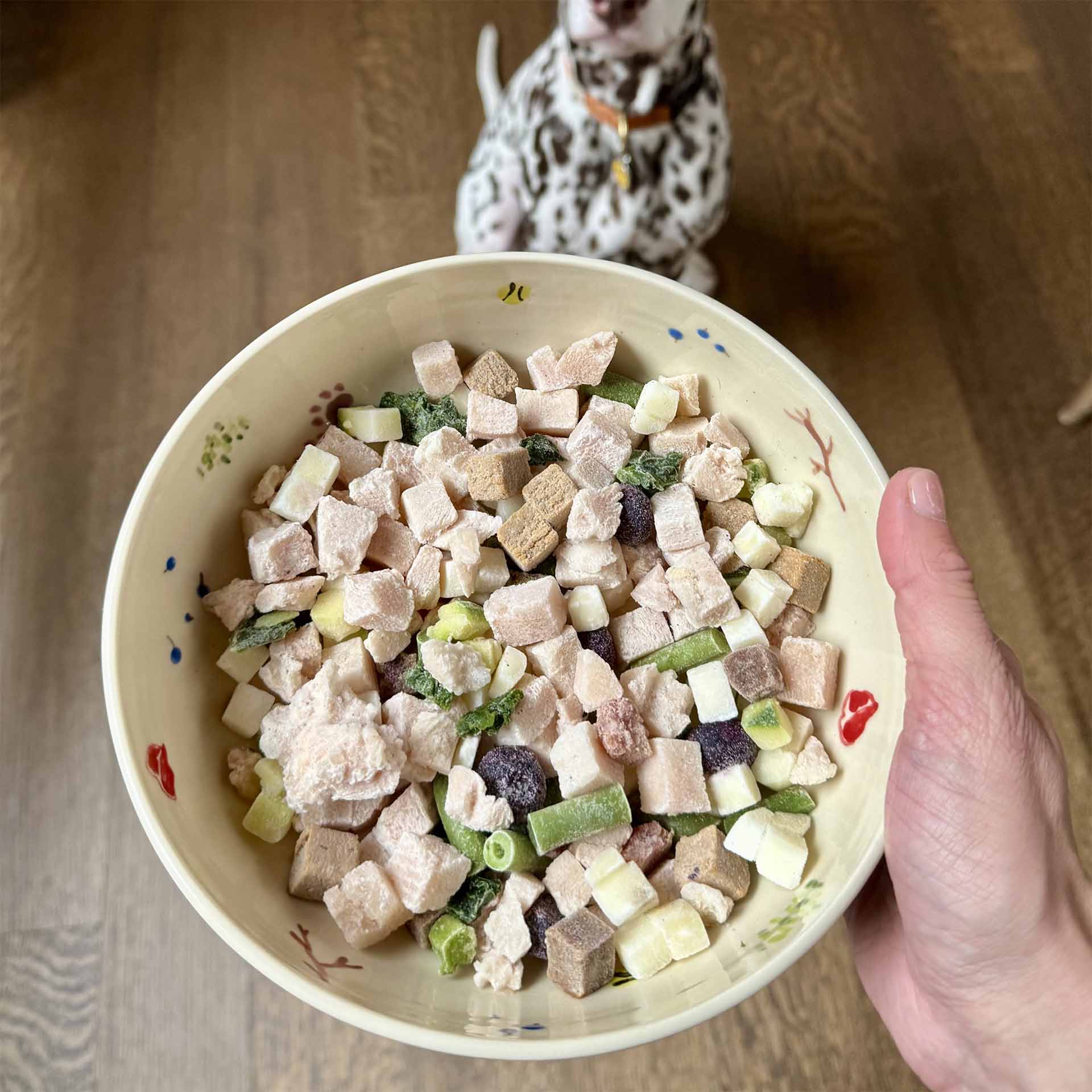 Raw Food, Chicken