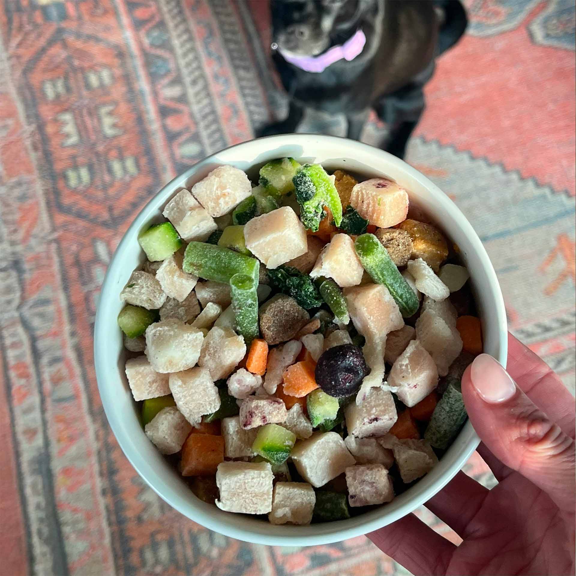 Raw Food for Puppies, Chicken