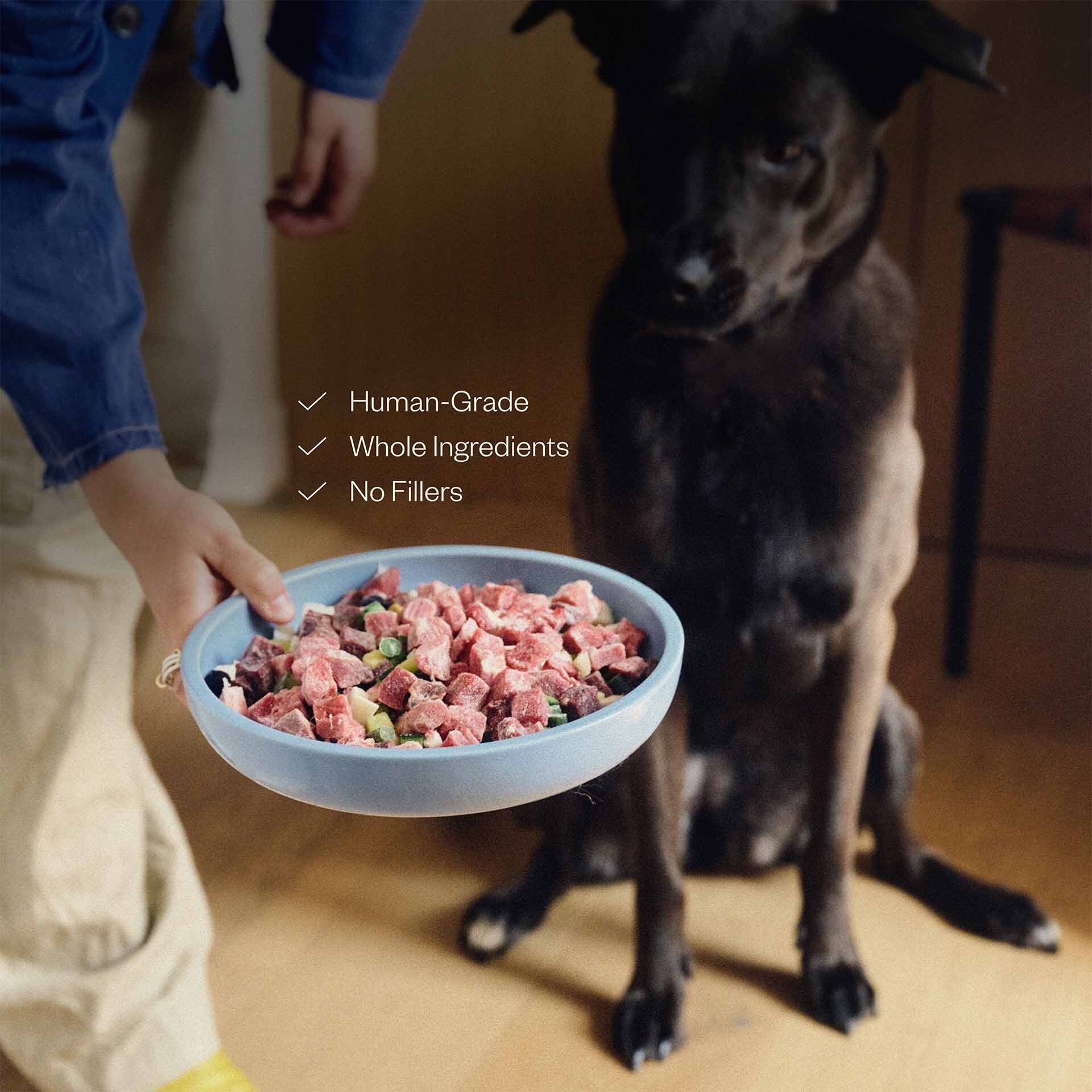 Raw Food