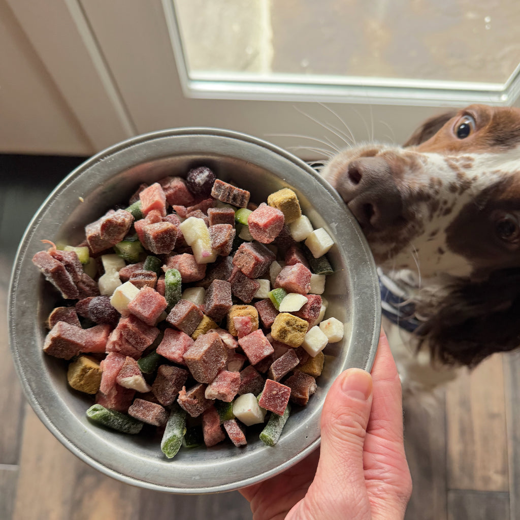 Raw Food, Variety Pack