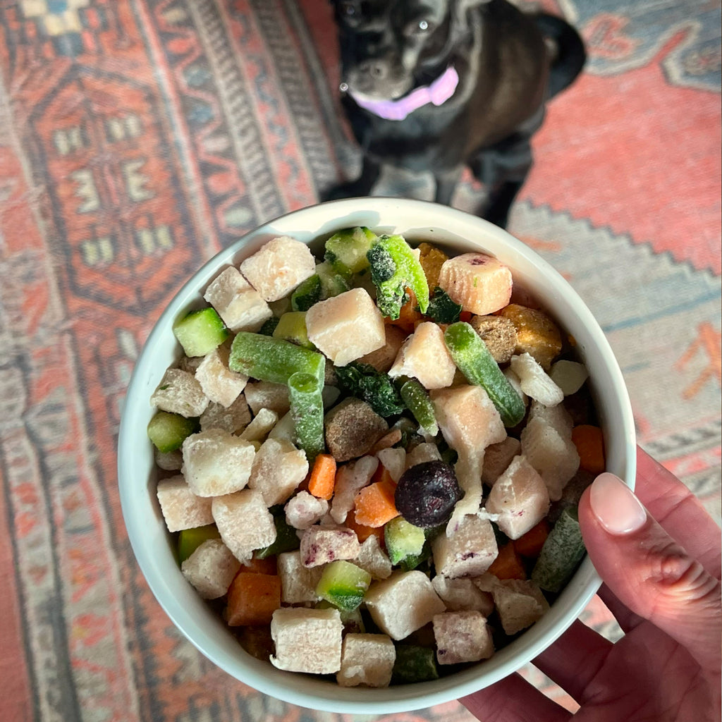 Raw Food for Puppies, Chicken