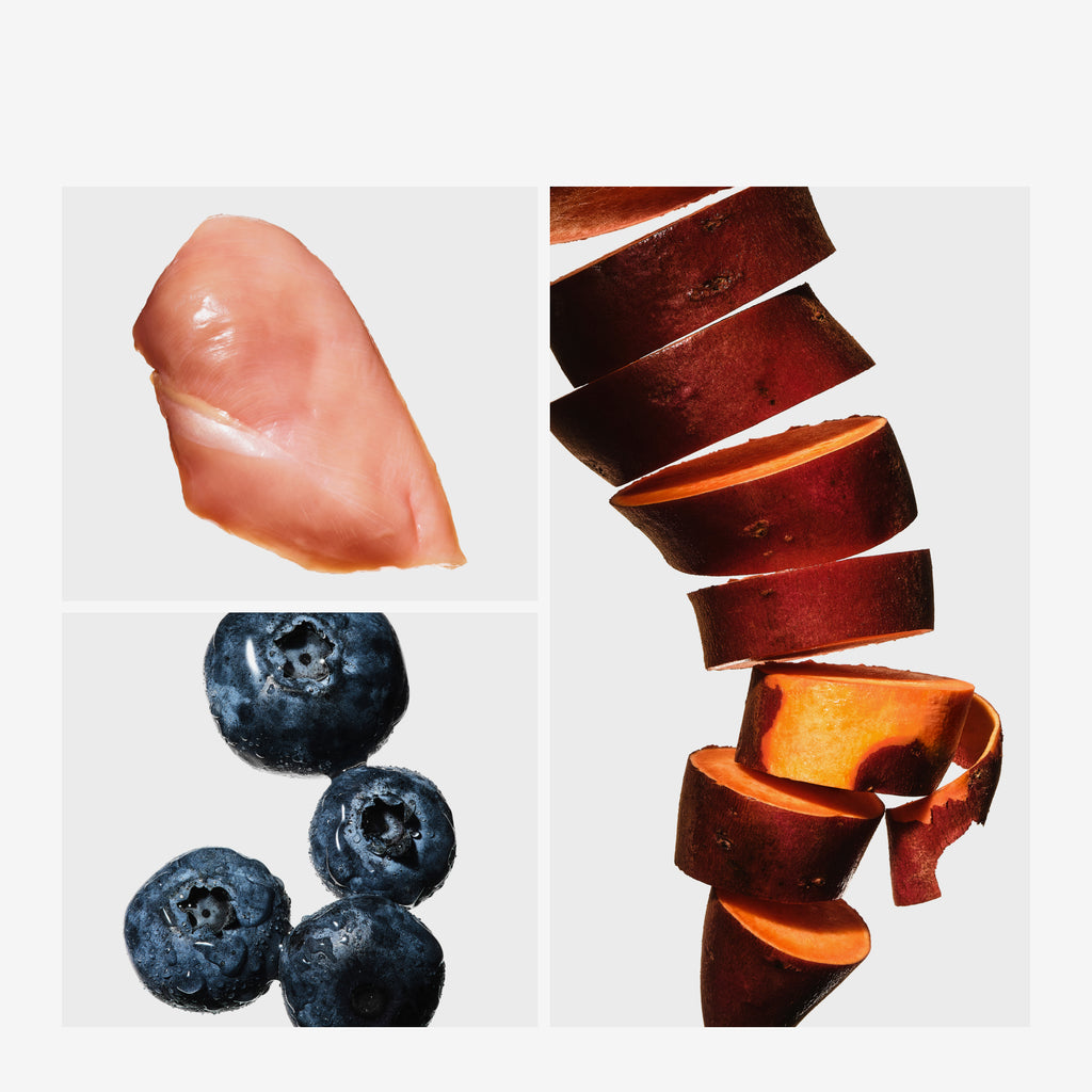 Raw Food for Puppies, Chicken