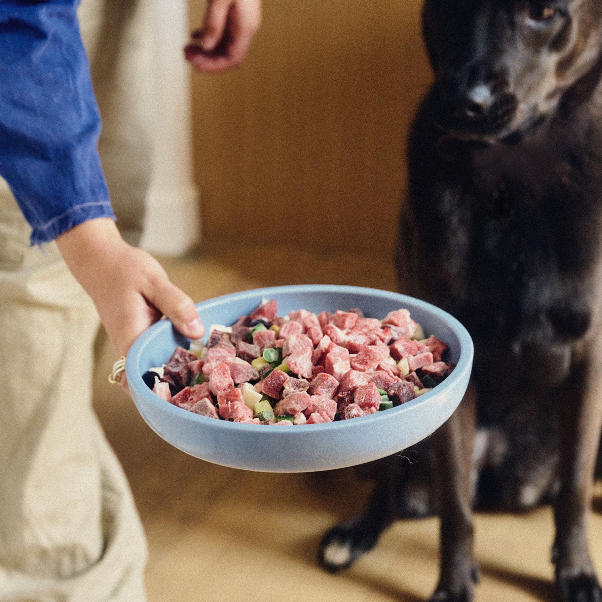 Raw Food, Variety Pack