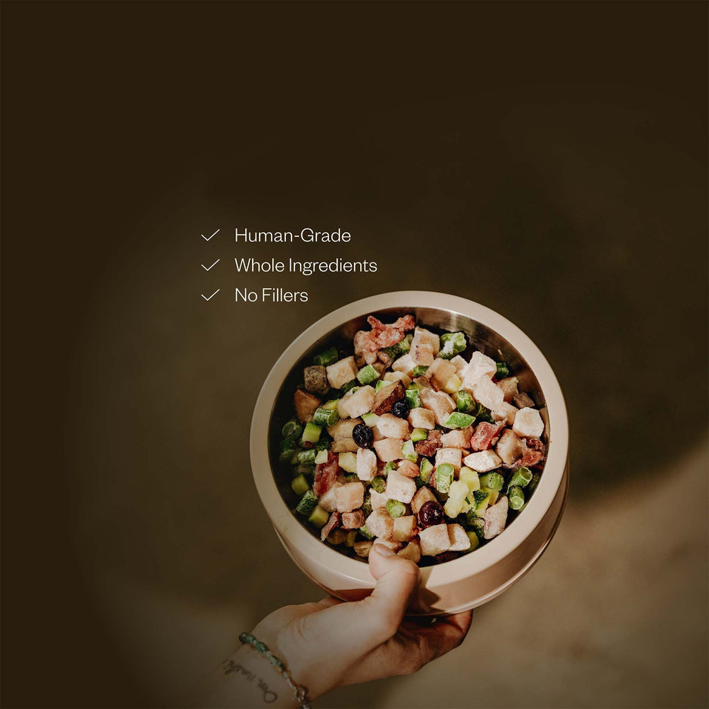 Raw Food, Chicken