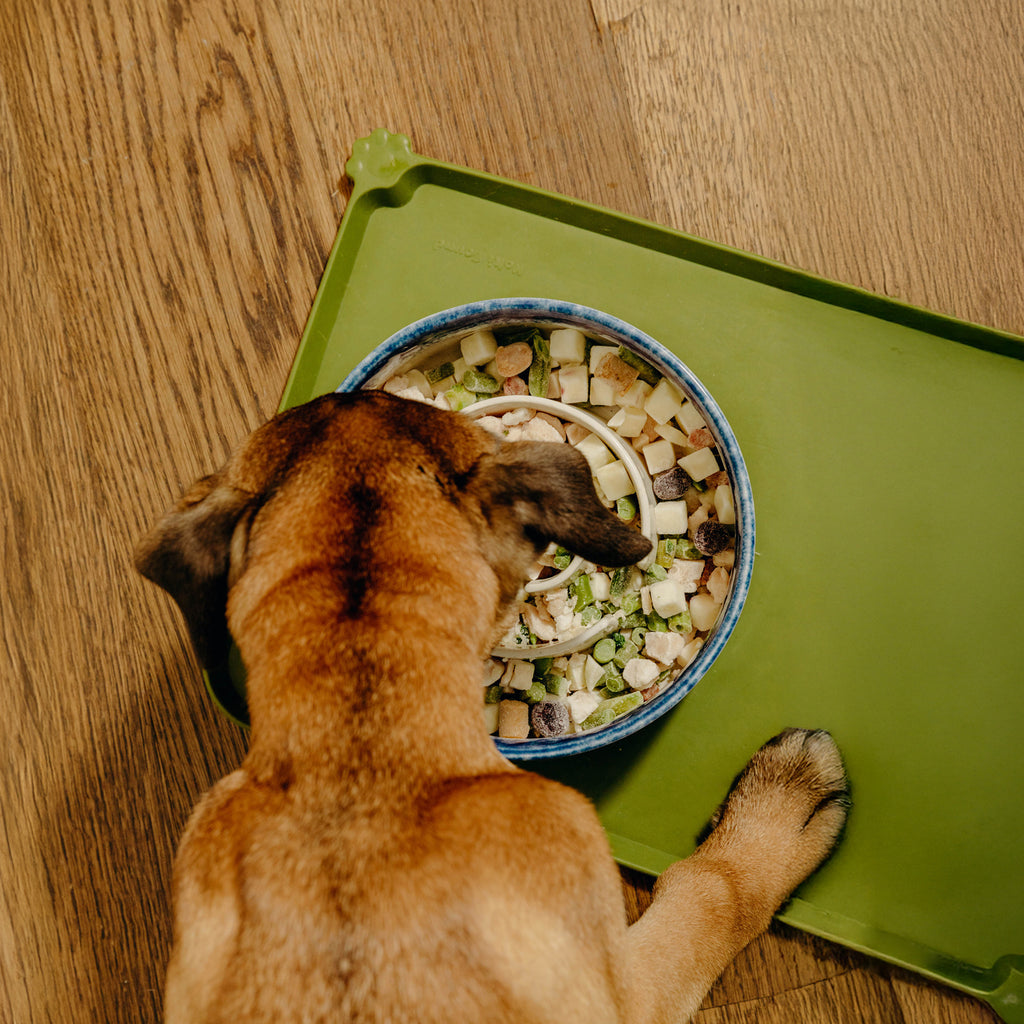 Raw Food for Puppies, Chicken