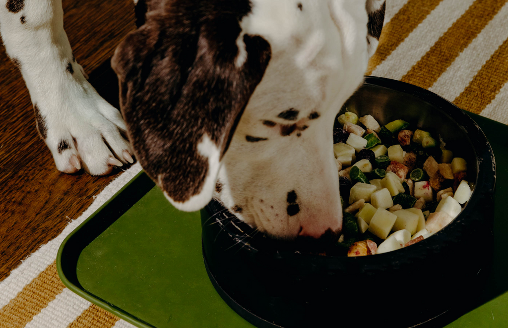 Raw Food for Puppies, Chicken